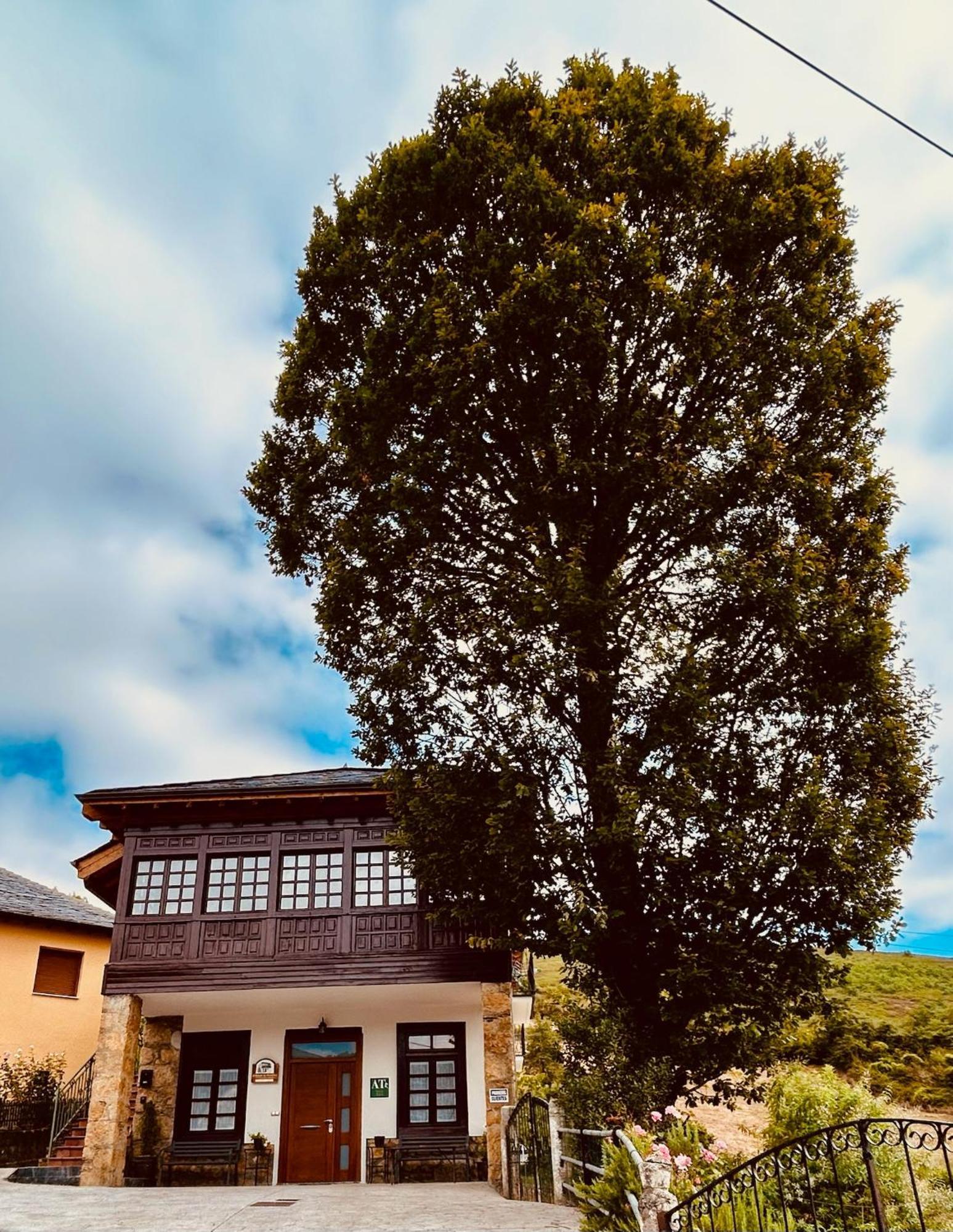 El Balcon De Muniellos Oballo Kültér fotó